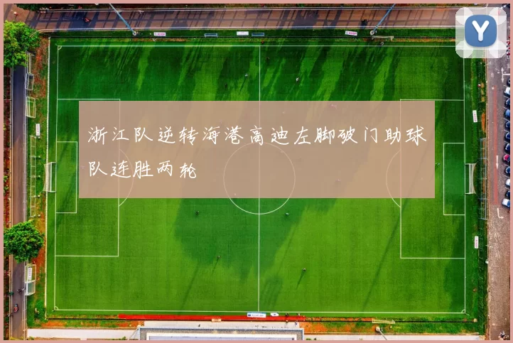 浙江队逆转海港高迪左脚破门助球队连胜两轮