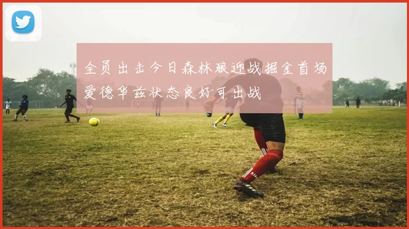 全员出击今日森林狼迎战掘金首场爱德华兹状态良好可出战